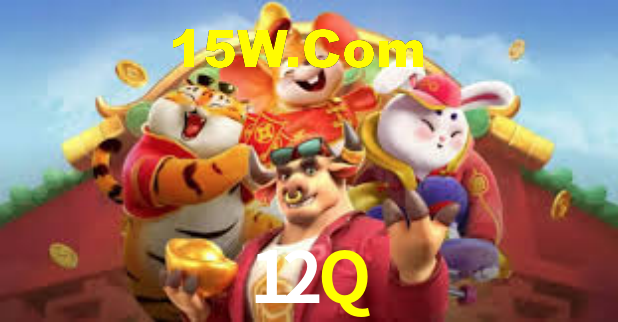 12Q - Installation Guide